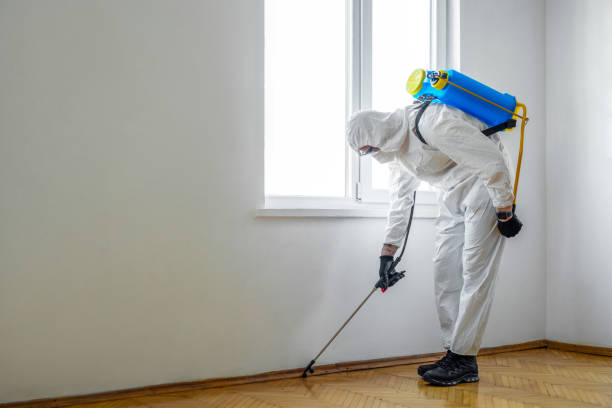 Best Pest Prevention Services  in Laurens, SC