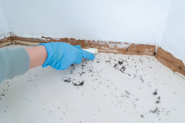 Best Pest Removal Services  in Laurens, SC